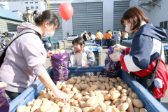 毎年大人気のメークインの詰め放題（助川かおる通信員撮影）