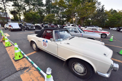 ずらりと並んだクラシックカー