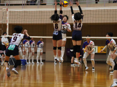 帯南商女子初Ｖ　男子は白樺学園連覇　横田忠義杯道高校バレー 14