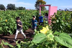 迷路内に置かれたドアを駆け抜けていく児童たち（須貝拓也撮影）