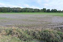 石川衆議が豊頃、浦幌の被災農地を視察 5