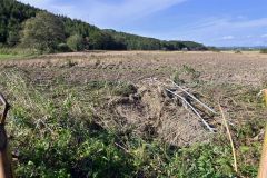 石川衆議が豊頃、浦幌の被災農地を視察 6