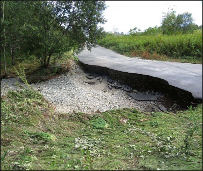 大雨で十勝川緑地など浸水、通行止めに