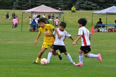 【Ｃブロック決勝・プログレッソ十勝ＦＣ　Ｕ―１２―紋別ドルフィンズ】相手選手と競り合うプログレッソ十勝ＦＣ　Ｕ―１２の根井快翔（左）