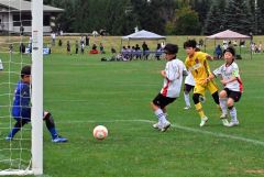【Ｃブロック決勝・プログレッソ十勝ＦＣ　Ｕ―１２―紋別ドルフィンズ】チーム２点目のゴールを決めるプログレッソ十勝ＦＣ　Ｕ―１２の石田瑛琉（黄色ユニホーム）