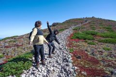 登山道の両脇は赤く色付き始め、登山者の目を楽しませる