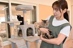 終生飼育できますか？十勝で犬猫保護、年間２００匹超