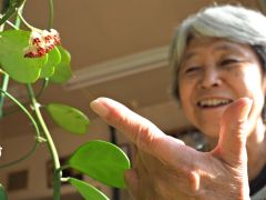 元バイクショップのカフェで「幸福」の花咲く～こぼれ話