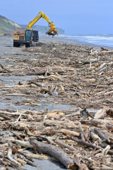 河口付近に打ち上げられ流木の山を撤去する重機（１日午前１１時１０分ごろ、浦幌町十勝太で、塩原真撮影）