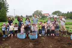 池田保育園の園児がサツマイモ掘り 2