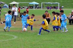 約５６０人の園児と児童　楽しくプレー　サッカーフェス２大会開催 3