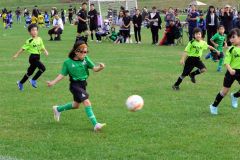 約５６０人の園児と児童　楽しくプレー　サッカーフェス２大会開催 5