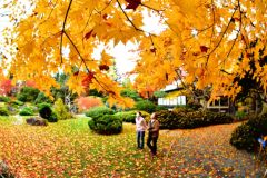 紅葉シーズン到来！　今年の見どころを厳選