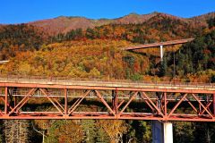 広がる黄金色の樹海　Ｒ２７３号・三国峠で紅葉がピーク 5