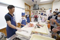 サケの三枚おろしに挑戦する児童たち