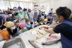 秋サケの三枚おろしにも挑戦　大樹小で食育学習