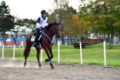 鹿追　耐久馬術競技の第２６回全日本エンデュランス馬術大会