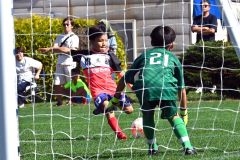 準決勝　アッカムイとかちソルプ―北海道コンサドーレ東川