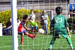 準決勝　アッカムイとかちソルプ―北海道コンサドーレ東川