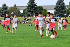 アッカムイとかちソルプ準Ｖ　帯広ＦＣ３位　全道少年Ｕ１０サッカー北北海道大会