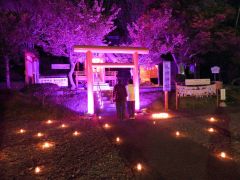 ライトアップされた乳神神社で参拝する来場者
