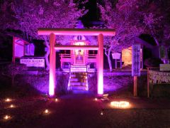 乳がん啓発でピンク色にライトアップ　浦幌・乳神神社