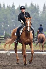 秋空の下、人馬一体で競技 秋季十勝地区馬術大会 3