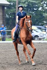秋空の下、人馬一体で競技 秋季十勝地区馬術大会 5