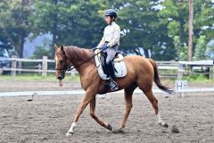 馬場馬術第3課目Aに挑む選手