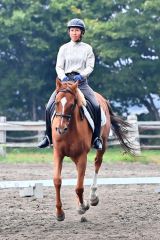 秋空の下、人馬一体で競技　秋季十勝地区馬術大会