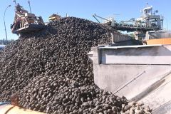 日本甜菜製糖芽室製糖所、今季の操業開始