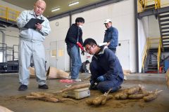「十勝川西長いも」の生育調査　状態良好、収量は昨年比増か
