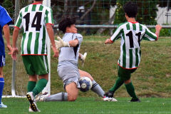 【１回戦・帯柏葉―北照】後半、相手シュートを防ぐ帯柏葉のＧＫ日置颯太