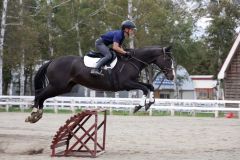馬術ショーを行う畜大馬術部（助川かおる通信員撮影）