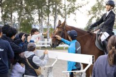 馬術ショーを終えたフリーデン・アポロと触れ合う来場者たち（助川かおる通信員撮影）
