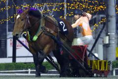 ホクセイイワキヤマが接戦制す　ナナカマド賞　ばんえい十勝