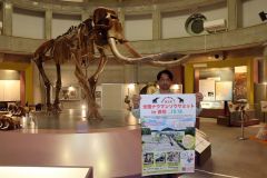 ナウマンゾウサミットをＰＲする添田館長