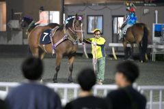 レース前の馬を見られる「パドック」。美しく彩られた、たてがみの飾りも見どころの一つだ