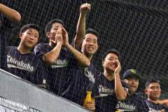 秋季道高校野球の準々決勝で、決勝打を放った白樺学園の菊島有佑選手をたたえるスタンドの仲間たち（１６日、札幌市の大和ハウスプレミストドーム。塩原真撮影）