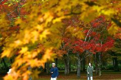 鹿追の福原山荘　紅葉が見頃 5