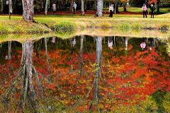 鹿追の福原山荘　紅葉が見頃 7