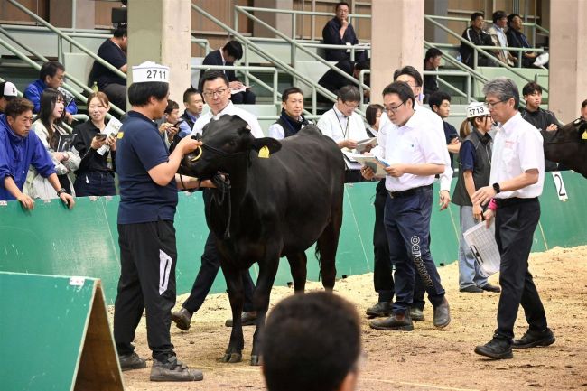 家畜の「共進会」って何をしているの？～教えて！ぴぴっと