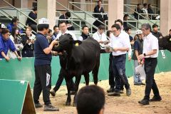 家畜の「共進会」って何をしているの?~教えて!ぴぴっと