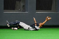 【準決勝・白樺学園―立命館慶祥】初回、バックネット際のファールフライを滑り込んで捕球する白樺学園の捕手・関口颯人
