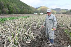 大量の土砂や流木が流れ込みトウモロコシが冠水した畑で被害状況を語る元木さん（１７日）