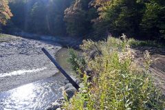 大雨で崩れたシカ柵。シカによる食害も深刻という