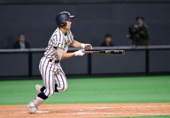 白樺学園、頂点まであと一歩　秋季高校野球道大会決勝 14
