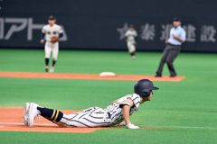 白樺学園、頂点まであと一歩　秋季高校野球道大会決勝 17