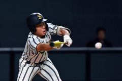 白樺学園、頂点まであと一歩　秋季高校野球道大会決勝 18