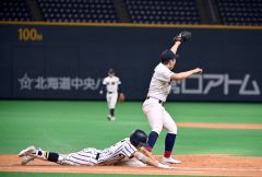 白樺学園、頂点まであと一歩　秋季高校野球道大会決勝 20